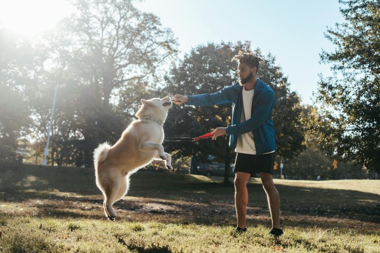 dog jumping
